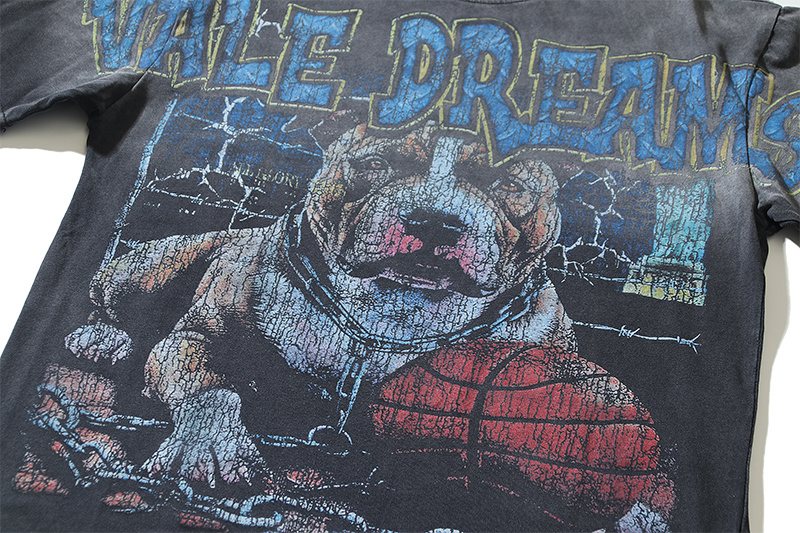 VALE USA Dreams Graphic Washed Black T-Shirt ¡ª detail
