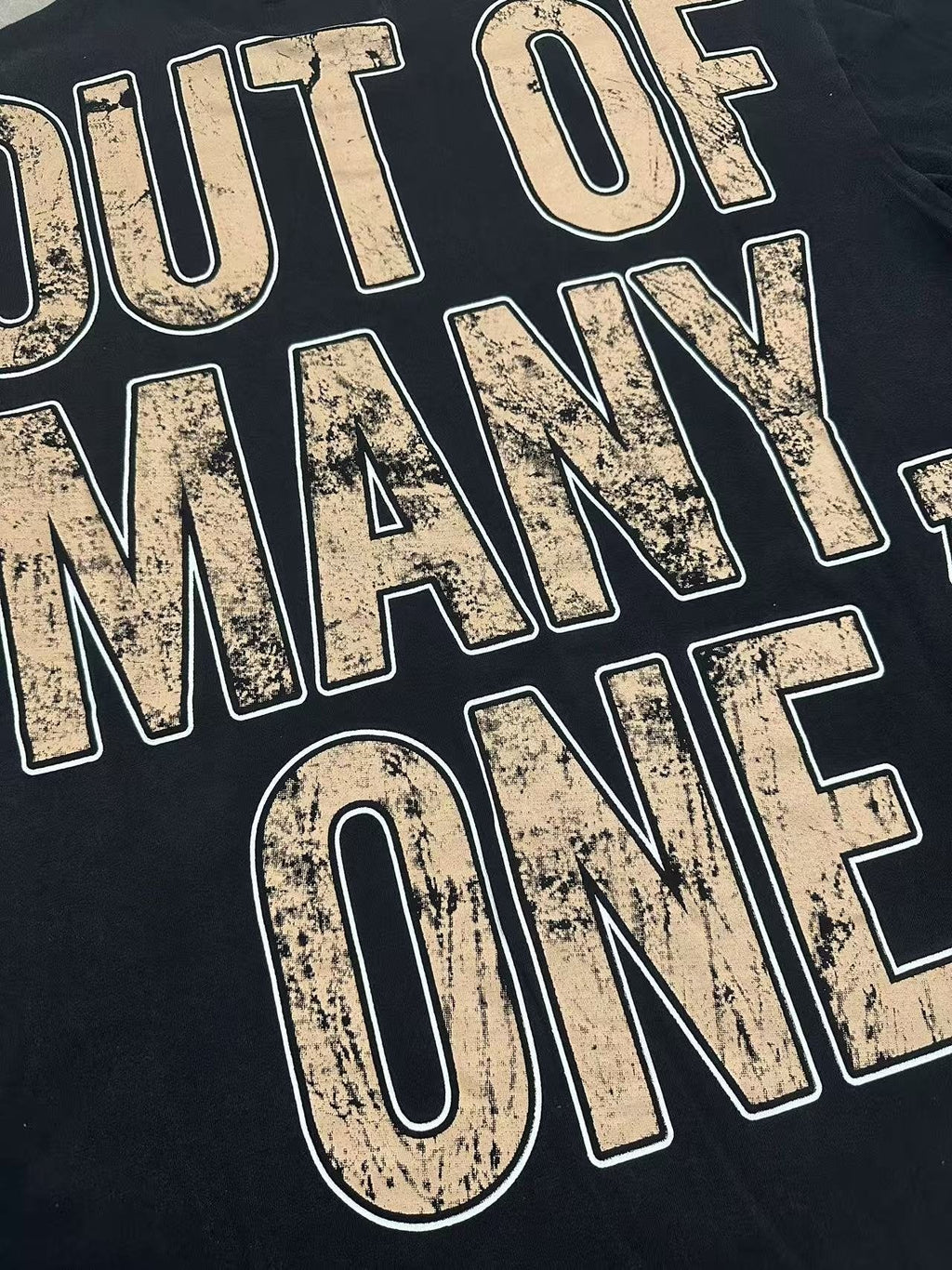 Godspeed Out of Many One Graphic T-Shirt ¡ª detail