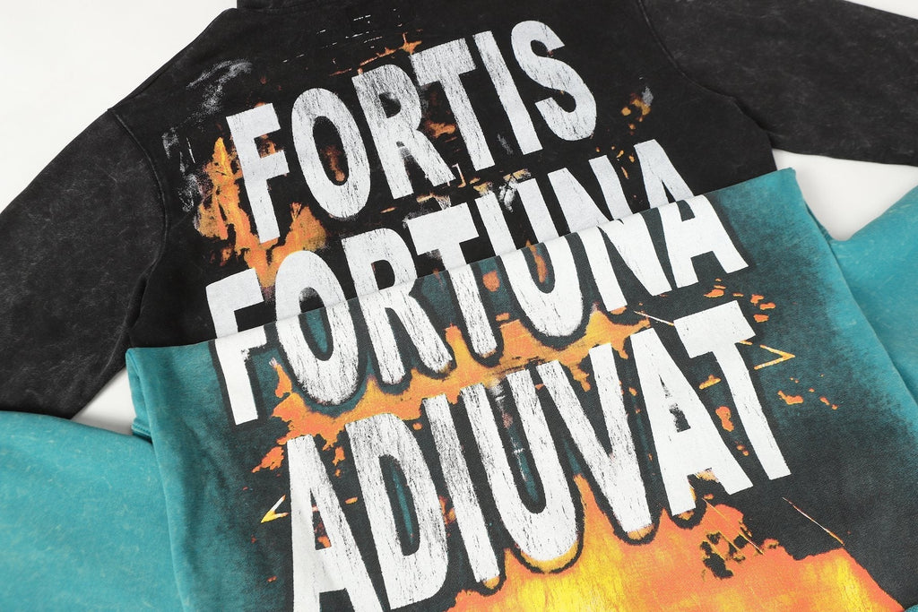Godspeed Fortis Fortuna Adiuvat Skull Graphic Hoodie ¡ª context