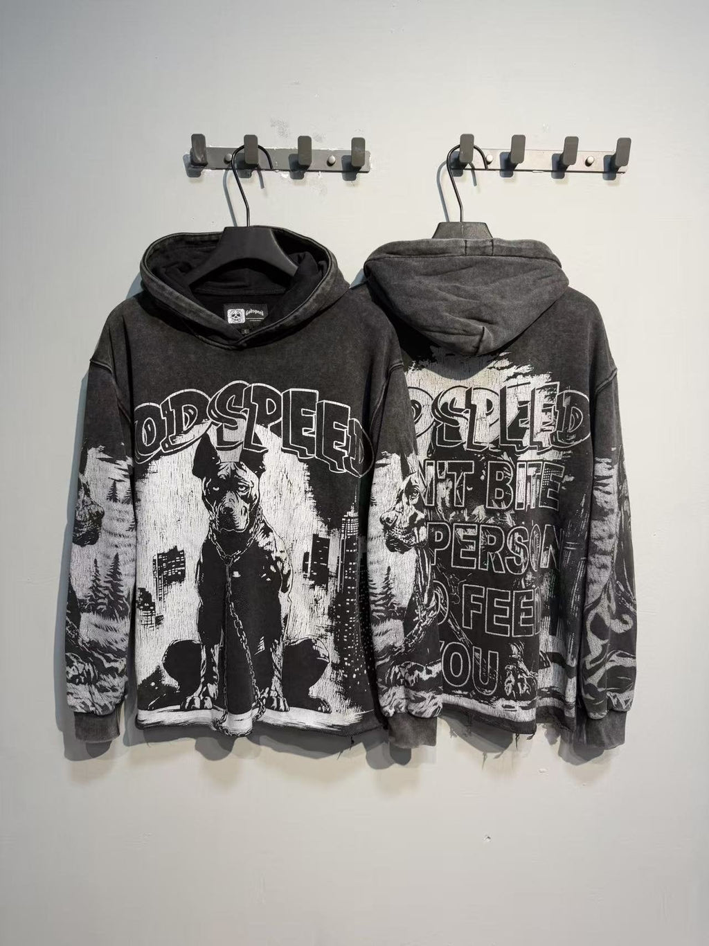 Godspeed Dog & City Graphic Raw-Hem Hoodie ¡ª context