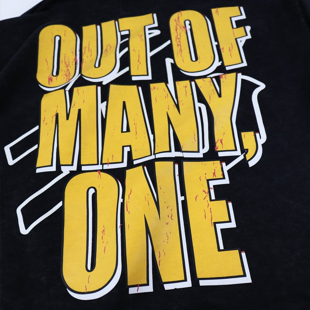 Godspeed Out of Many One Graphic Hoodie ¡ª detail