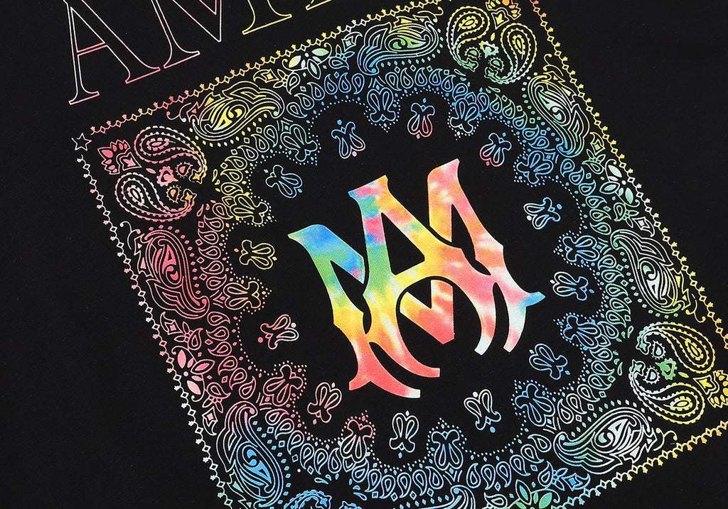 AMIRI Rainbow Bandana Back Graphic T-Shirt ¡ª detail