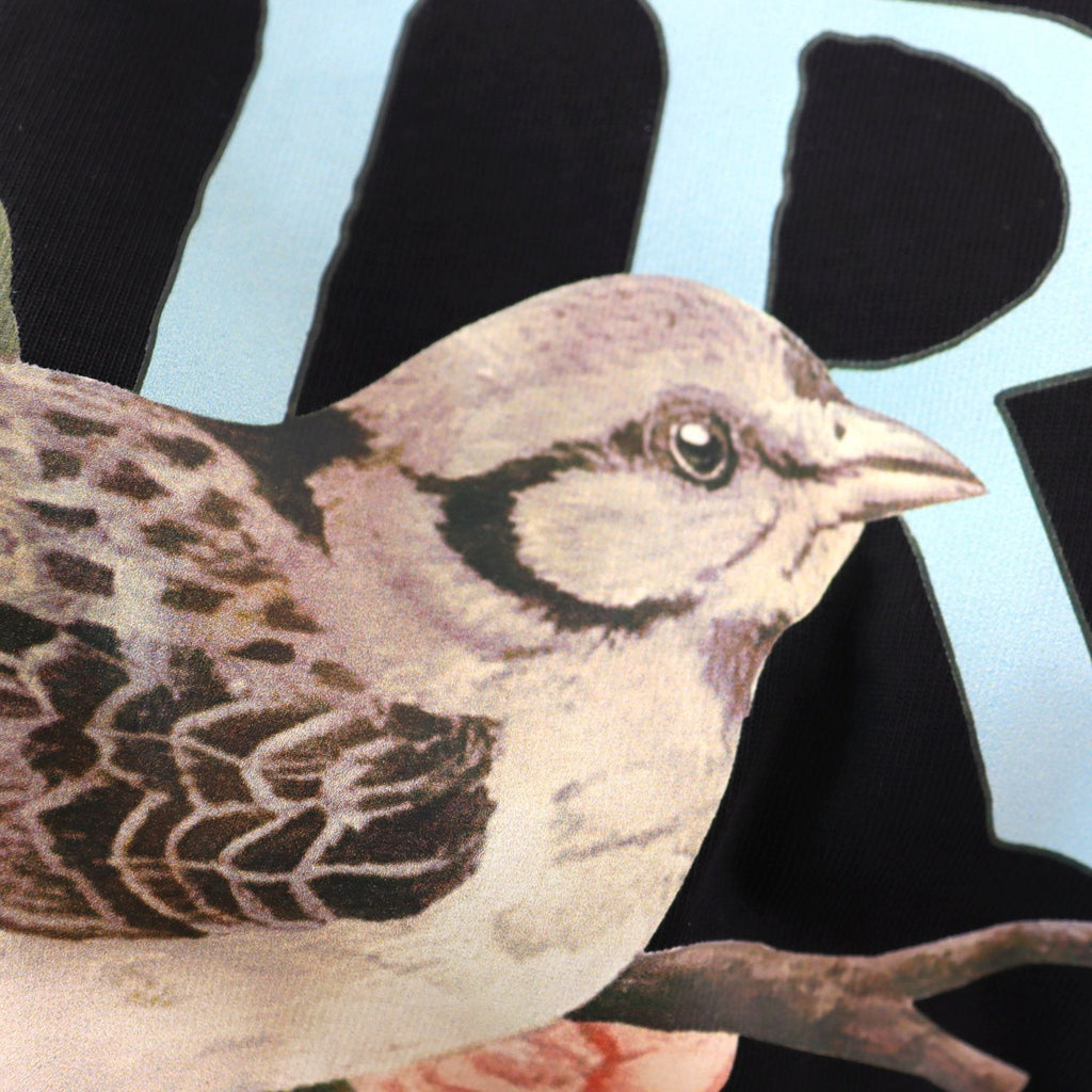 AMIRI Bird Graphic Short-Sleeve T-Shirt ¡ª detail