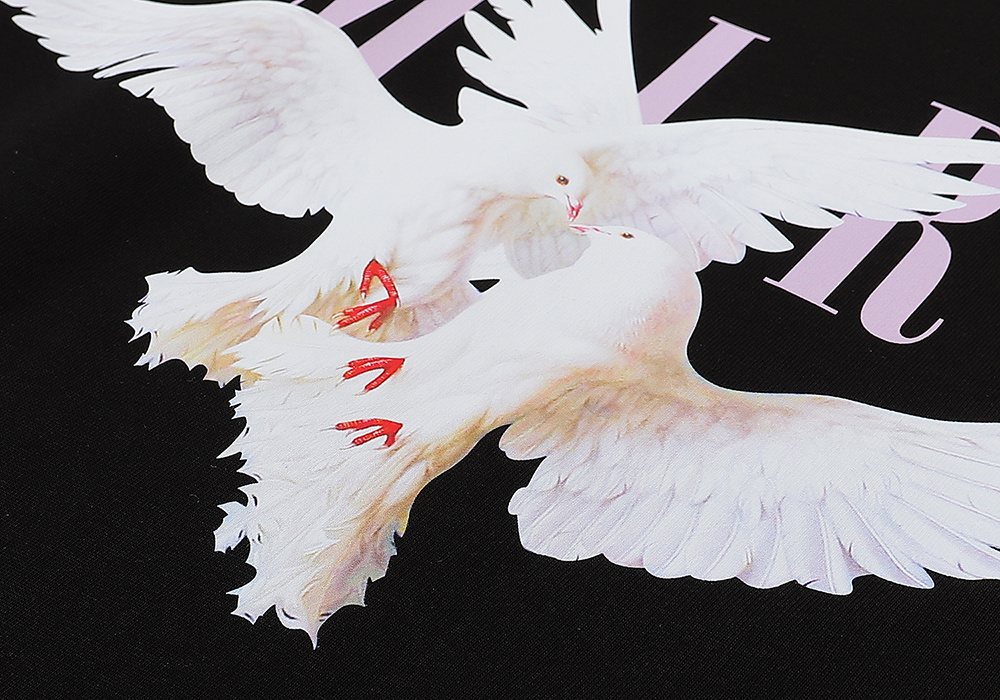 AMIRI Dove Graphic Short-Sleeve T-Shirt ¡ª detail