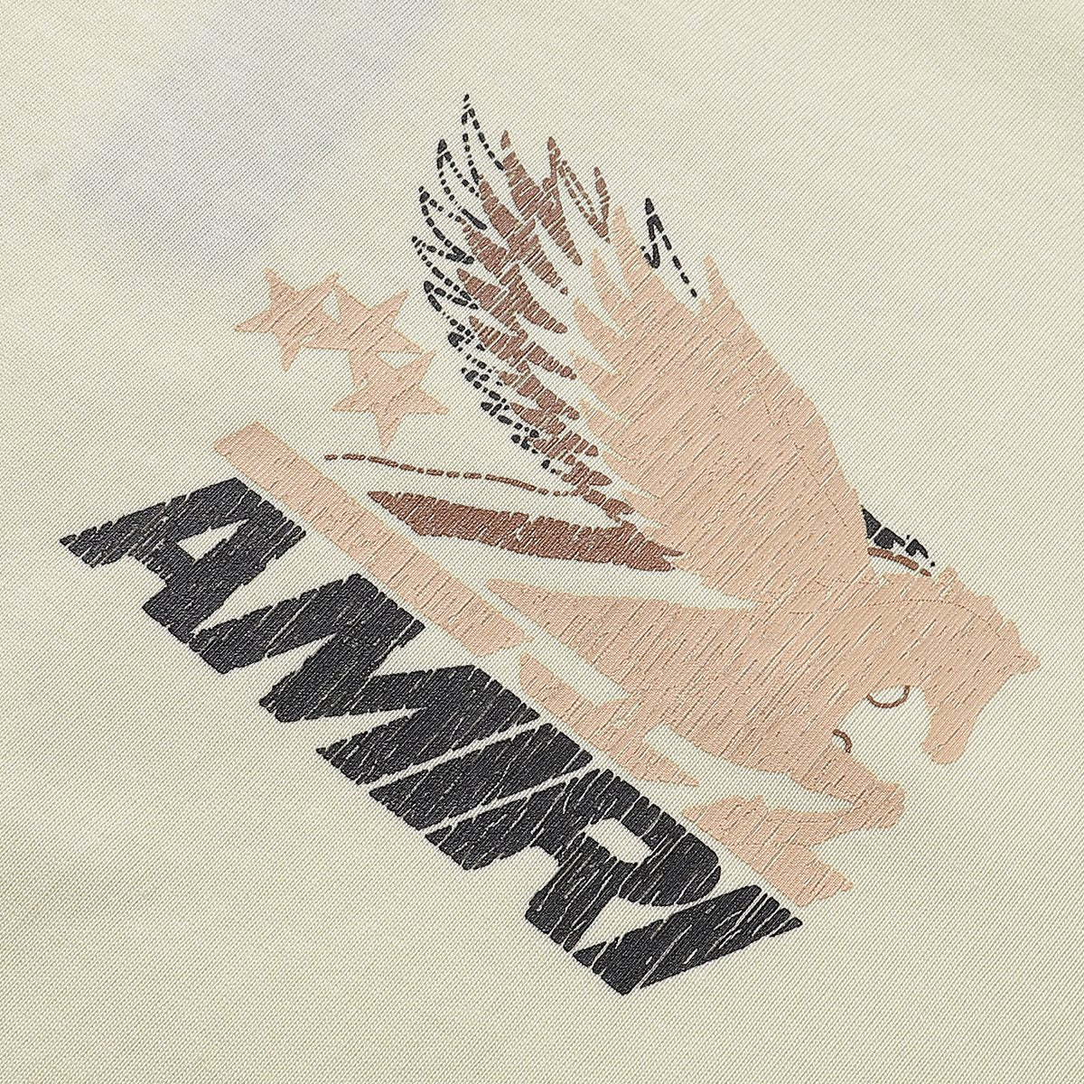 AMIRI Eagle Graphic Short-Sleeve T-Shirt ¡ª detail