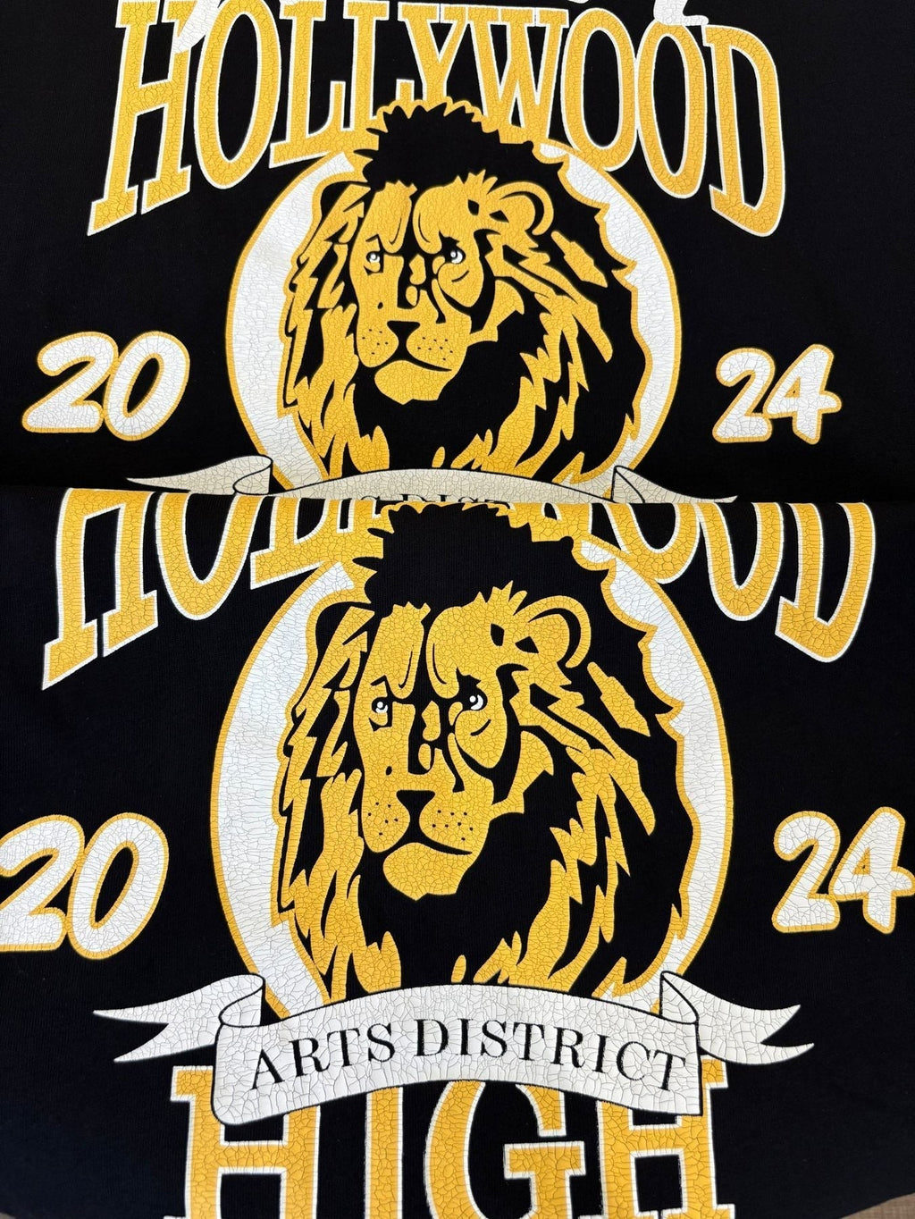 AMIRI Lion & Letter Graphic Short-Sleeve T-Shirt ¡ª detail