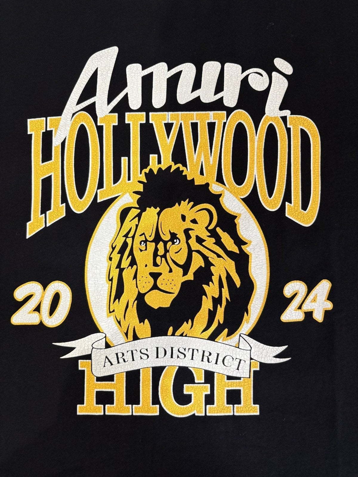 AMIRI Lion & Letter Graphic Short-Sleeve T-Shirt ¡ª detail