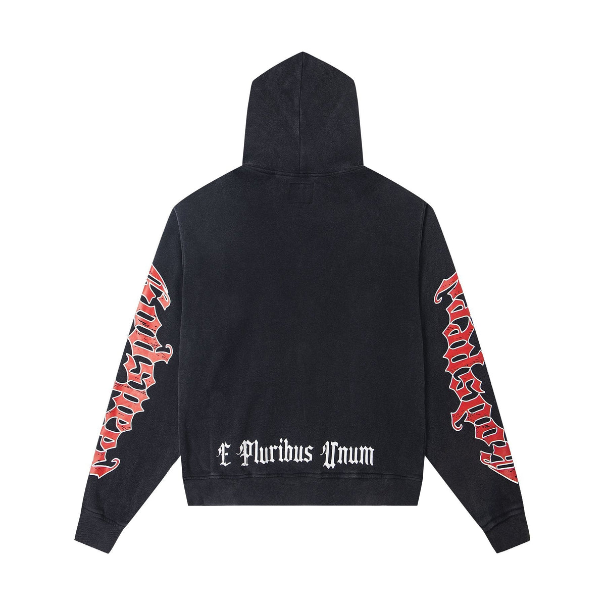Godspeed E Pluribus Unum Graphic Hoodie ¡ª back