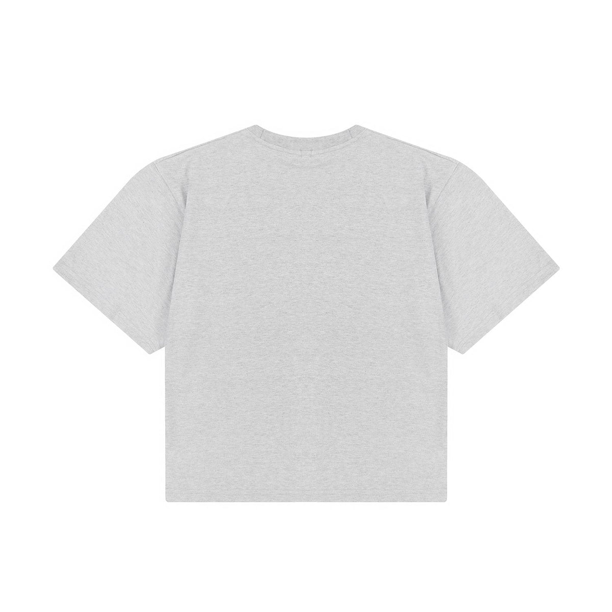 Test2-Ralph Lauren Women's Oversized Drop-Shoulder Pony Embroidered T-Shirt ¡ª back