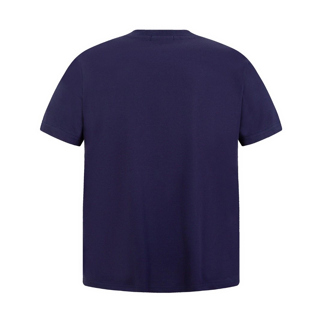 Test2-Ralph Lauren Embroidered Three-Button Henley Shirt ¡ª back